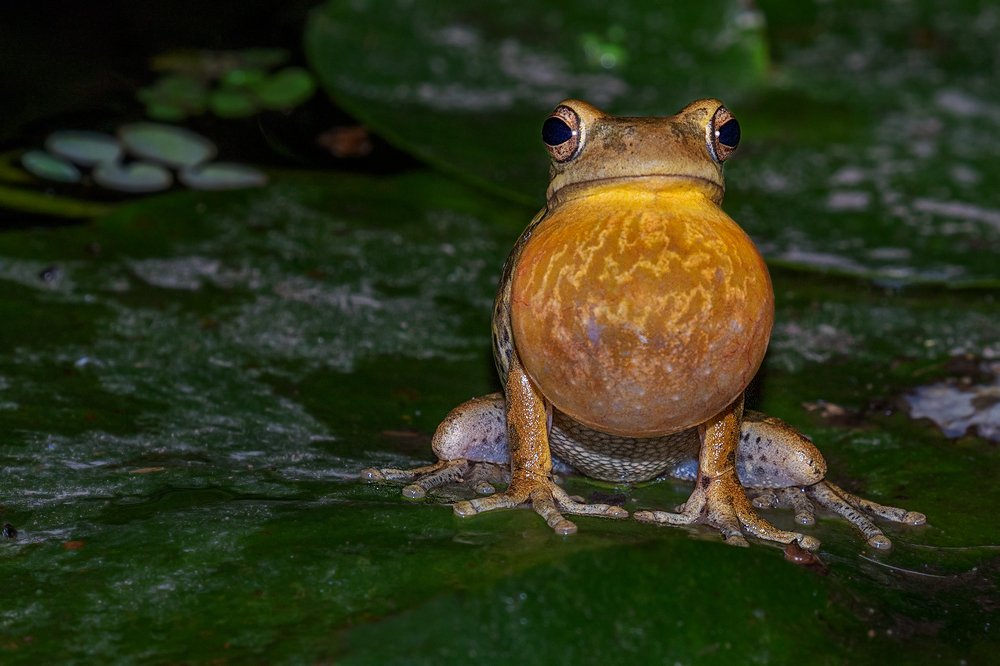 Photograph by Eduardo Di Fiore