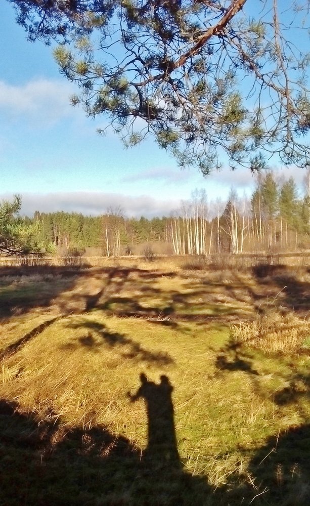 " Вальс Бостон"