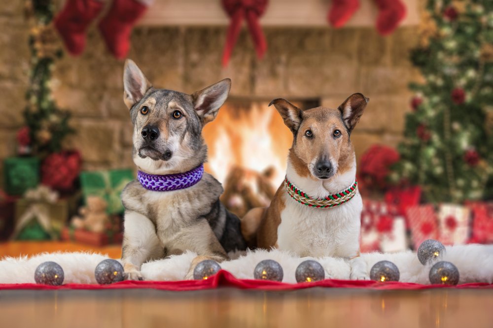 Photograph by Lucia Drietomska