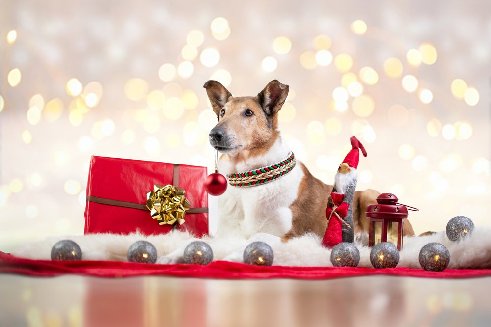 Photograph by Lucia Drietomska