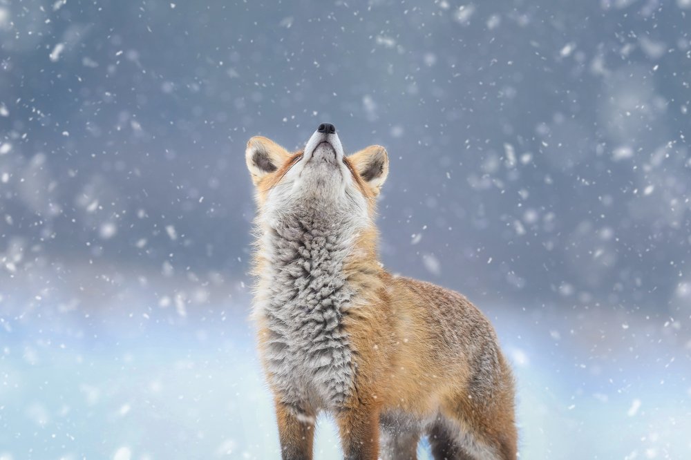 Photograph by Lucia Drietomska