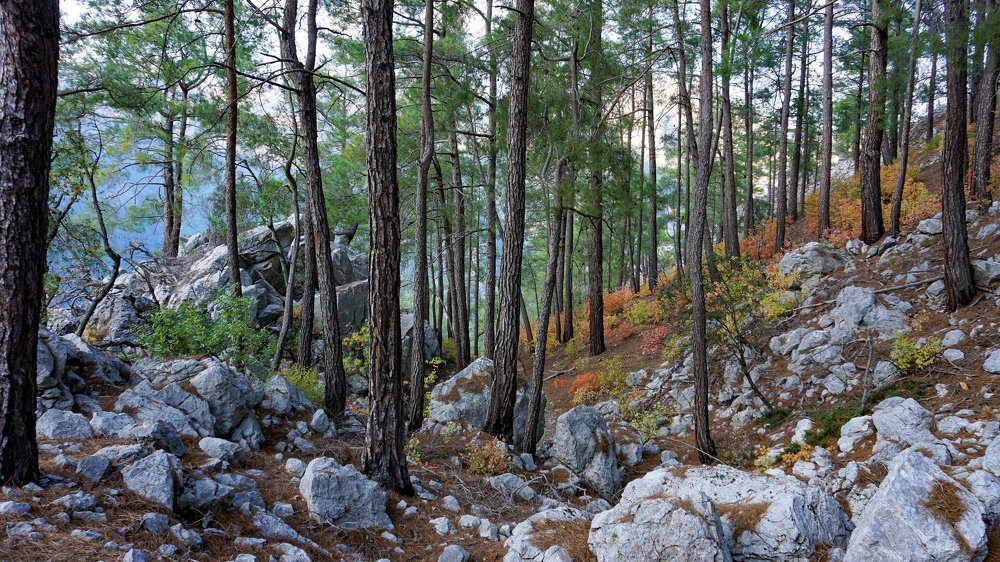 Photograph by Ольга Юрина