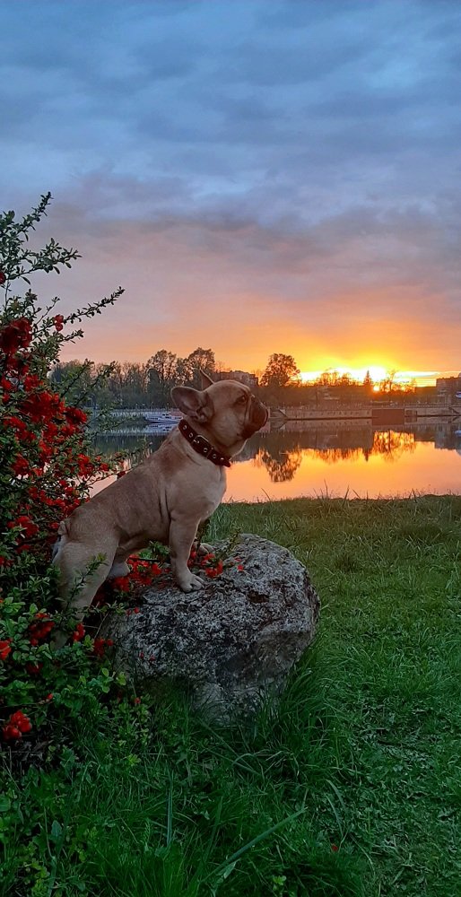 Photograph by Наталья Ковардакова