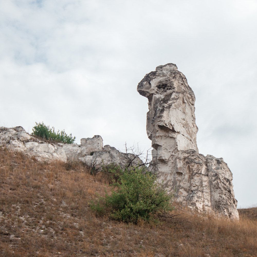 Photograph by Алена