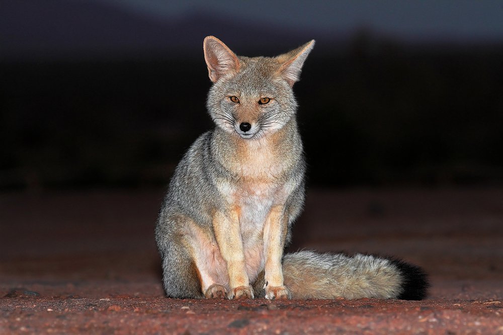 Photograph by Eduardo Di Fiore