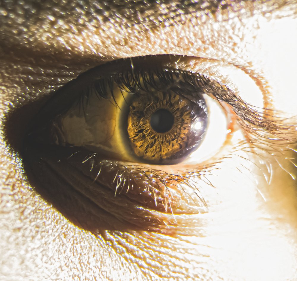 Photograph by Muneeb Qureshi