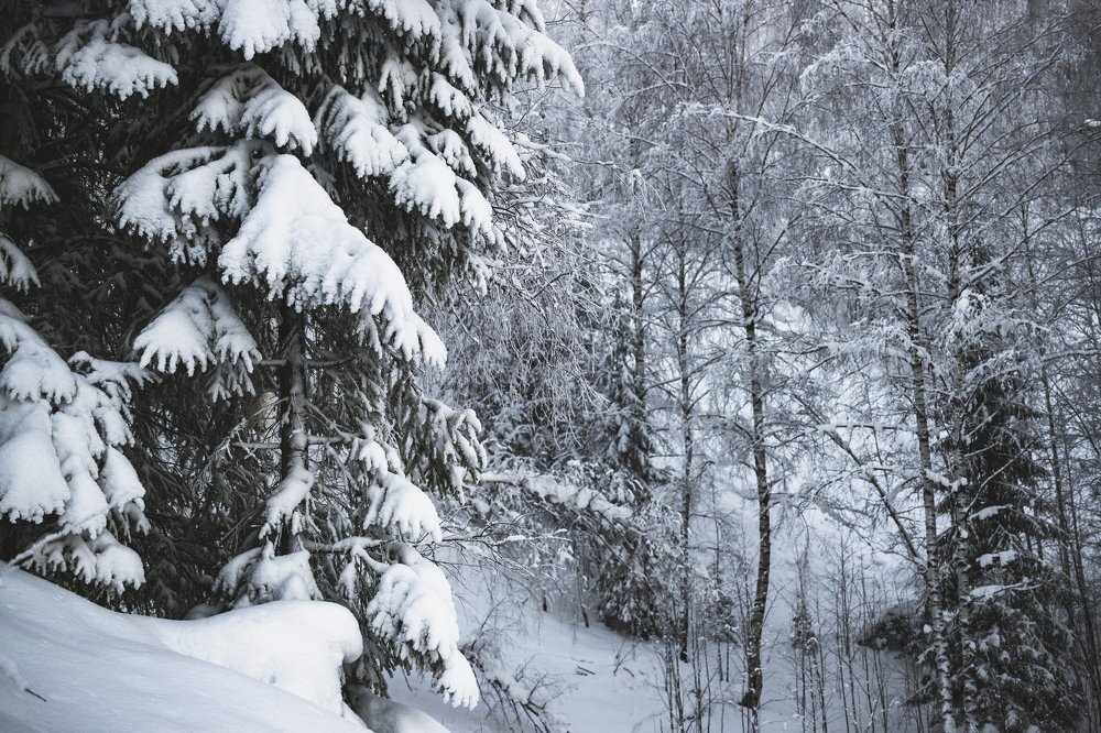 Photograph by Кирилл