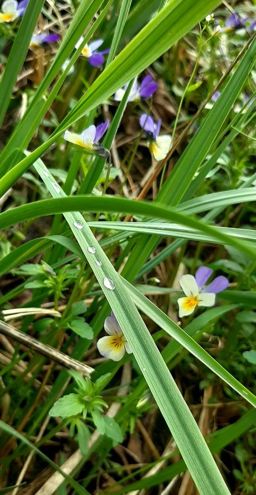 Photograph by Наталья Ковардакова