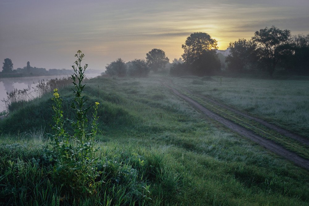 Photograph by Владимир Черных