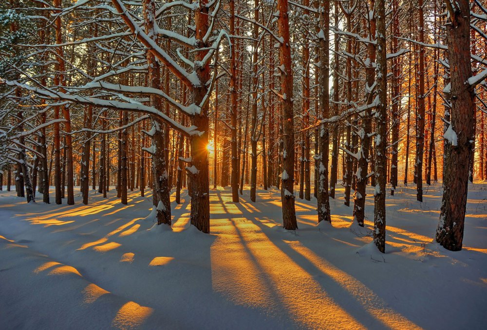 Photograph by Romanov Denis