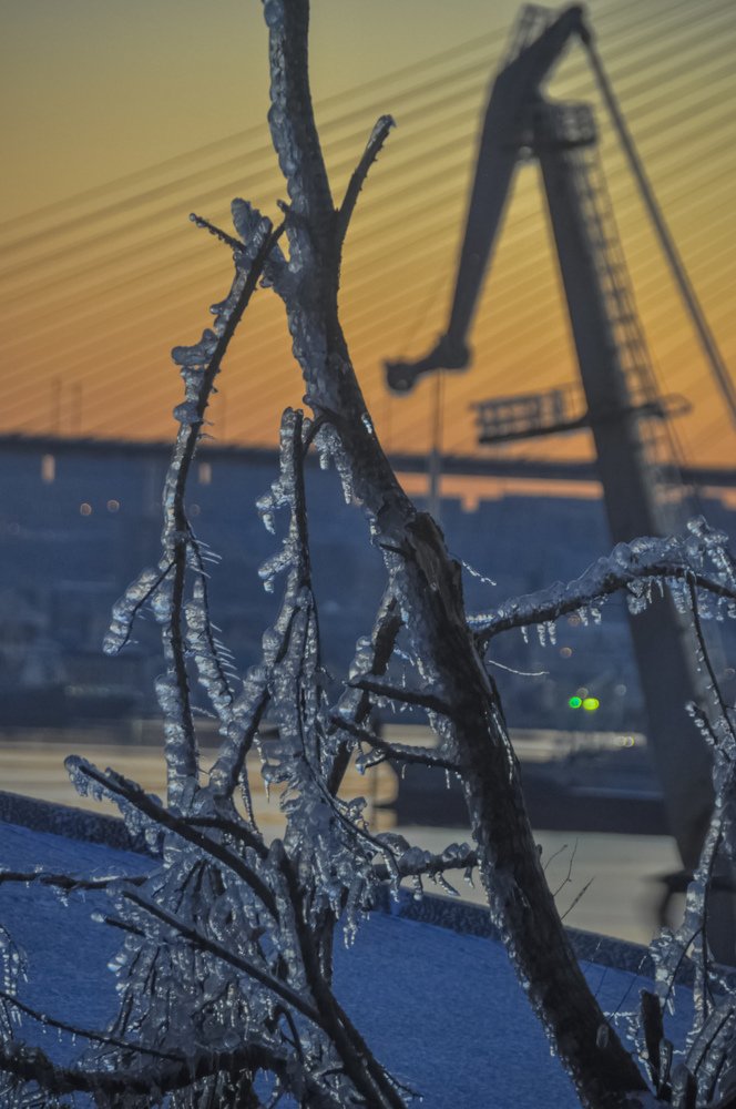 Photograph by Дмитрий Кустов