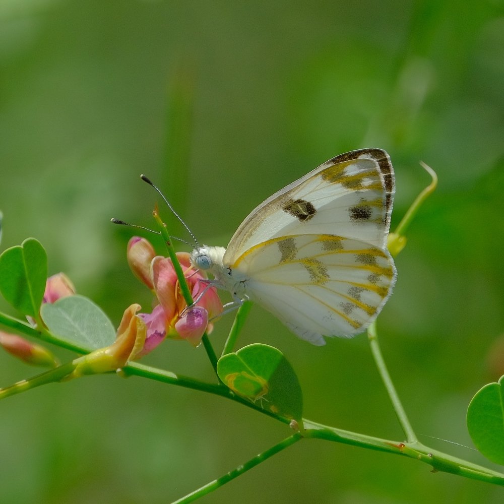 Photograph by Khalid Gurchani