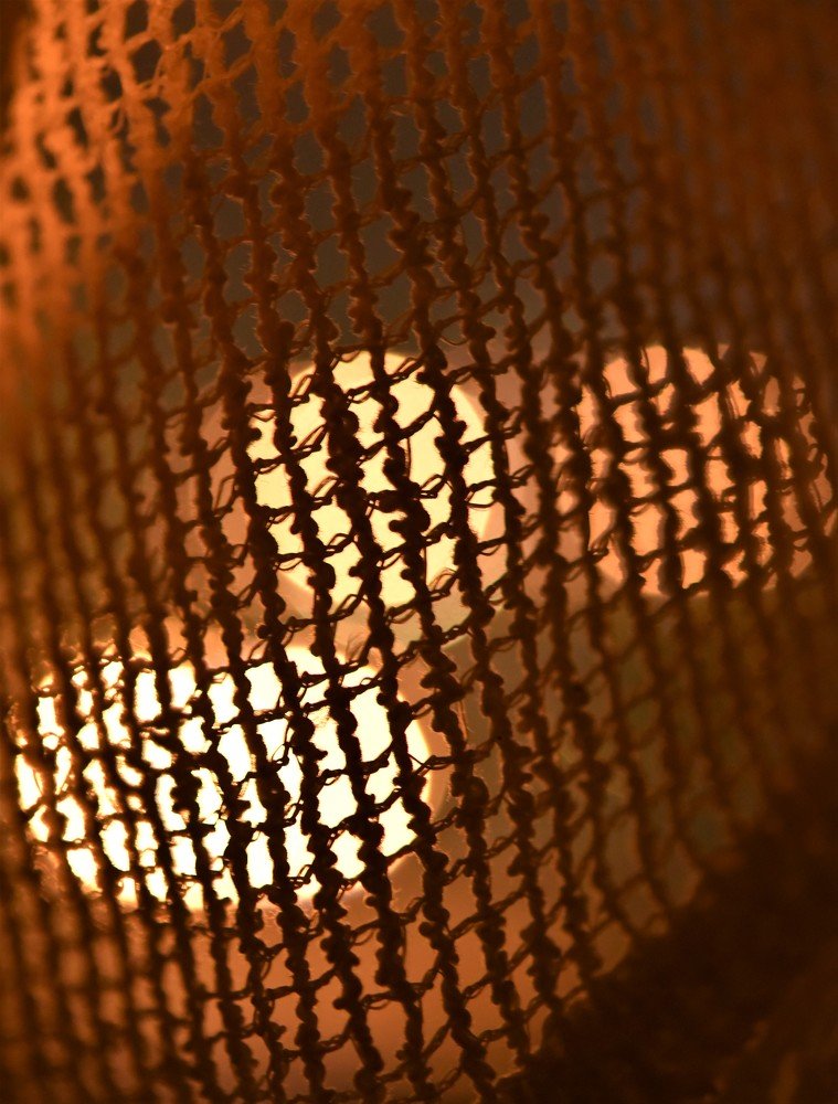 Фотография автора Ася Бабушкина