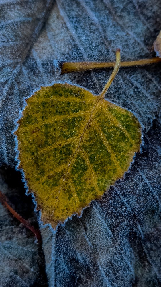 Photograph by Дмитрий Кустов