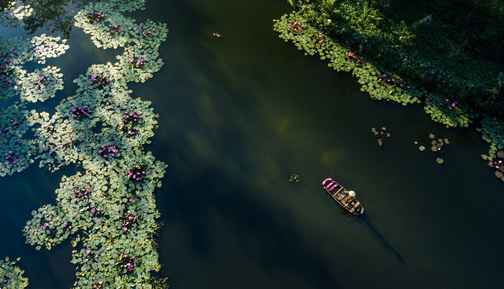 peace on the stream of Au