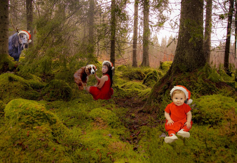 Photograph by Liudmila Drake