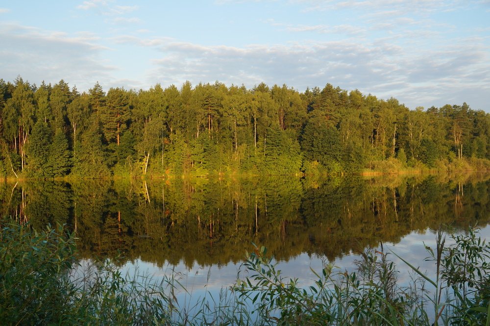 Photograph by Игорь Пекарский