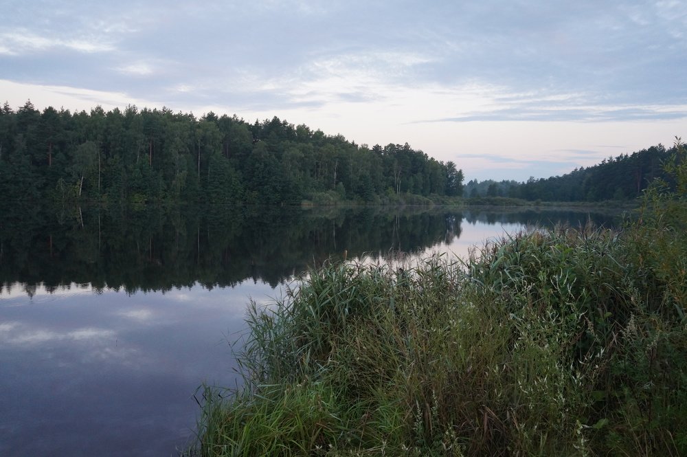 Photograph by Игорь Пекарский