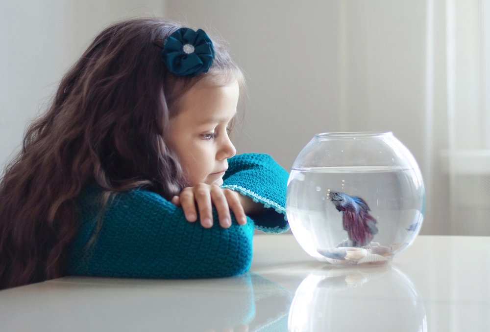 Photograph by Янина Малиновская