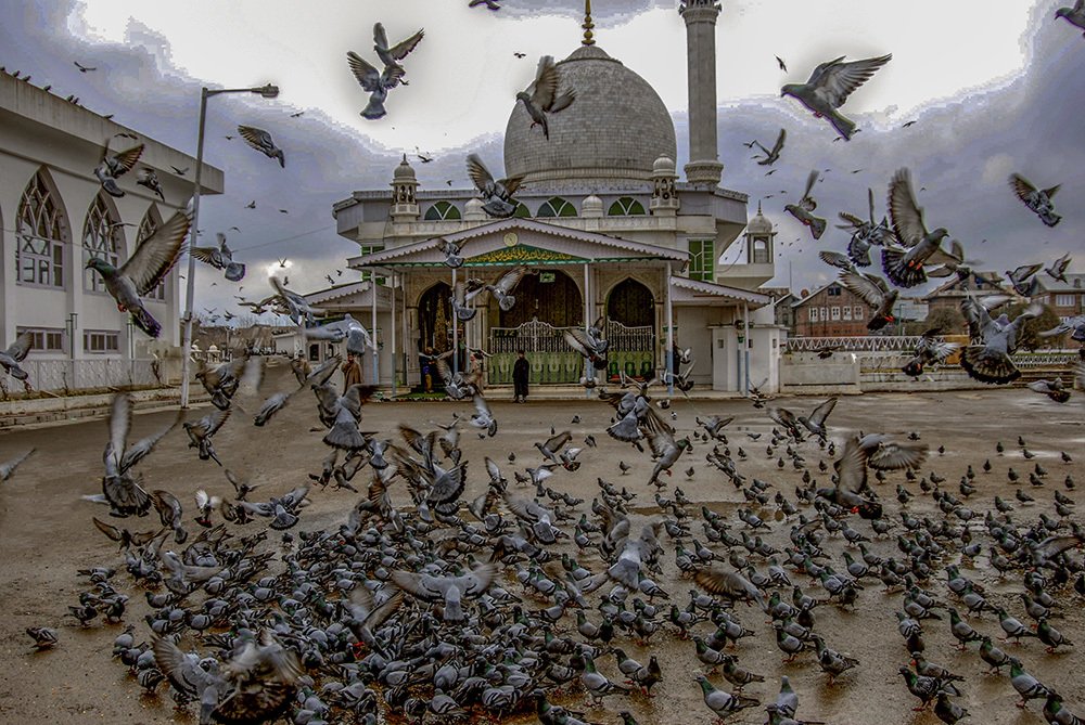 Photograph by Rajendra Makharia