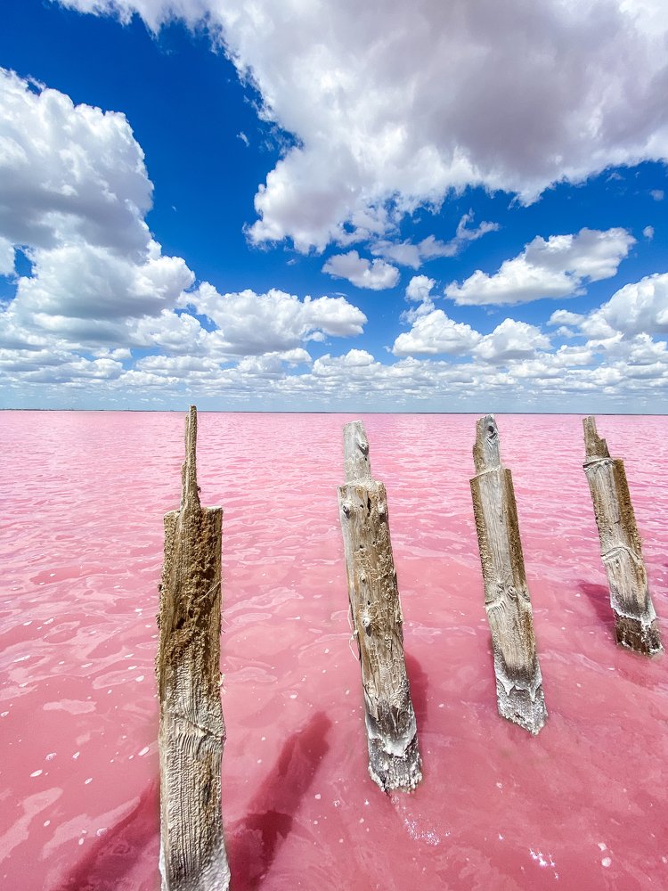 Photograph by Наталья Ковалёва