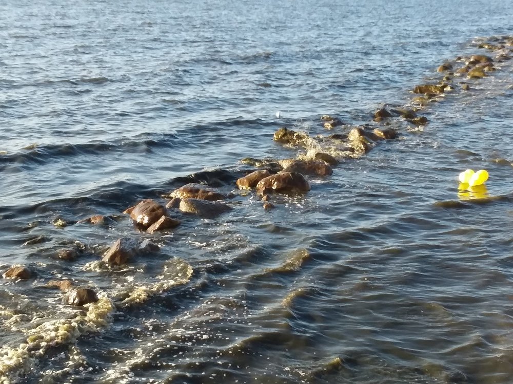 Photograph by Baiba Mennika Paegle