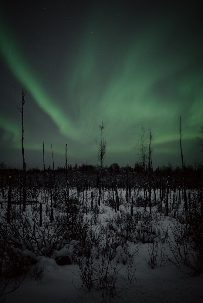 Photograph by Алина