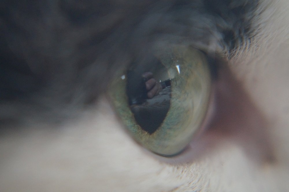 Photograph by Игорь Пекарский