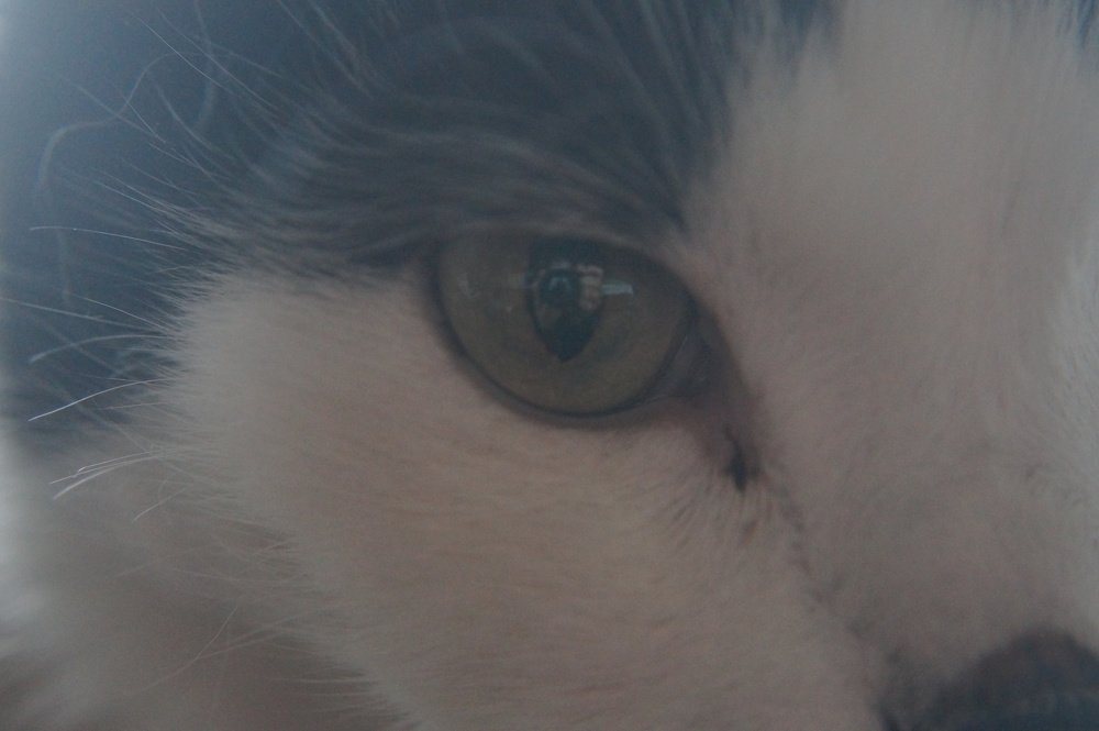 Photograph by Игорь Пекарский