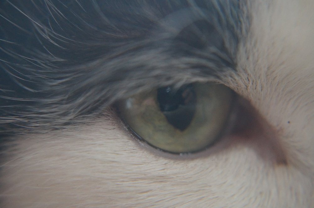 Photograph by Игорь Пекарский