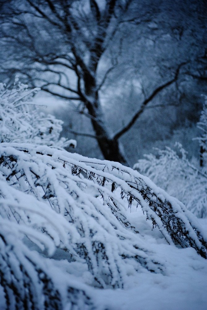 Photograph by Алина