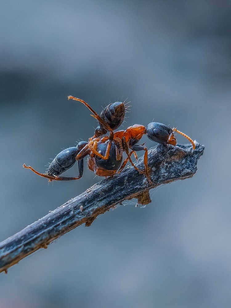 Photograph by Rahul Dey