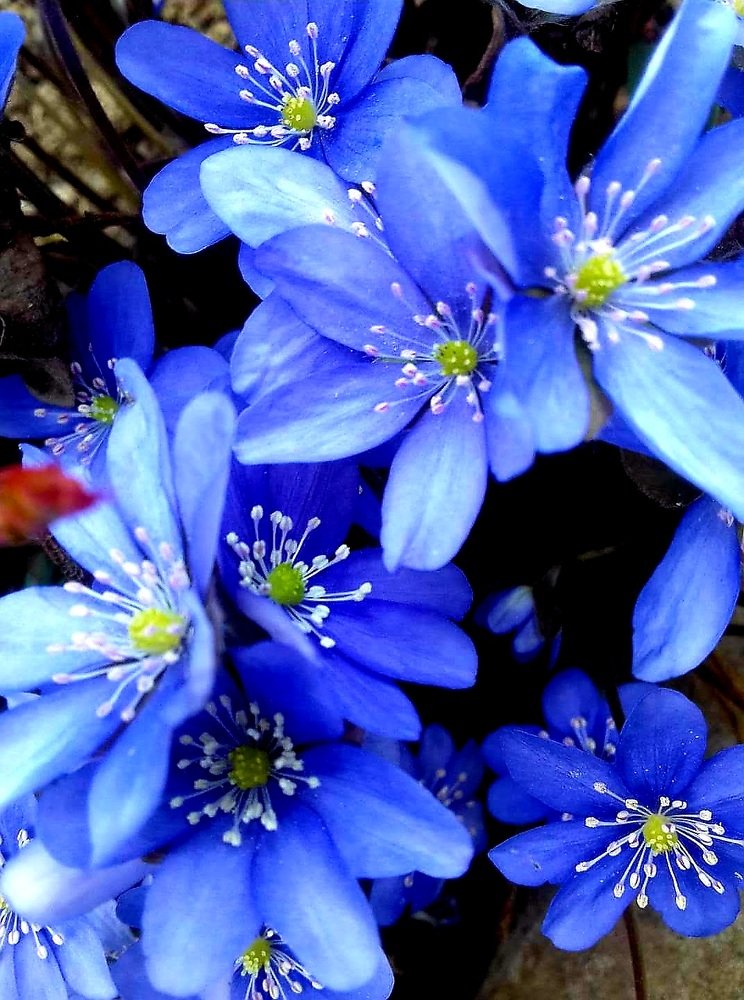 Photograph by Irina Gordienko