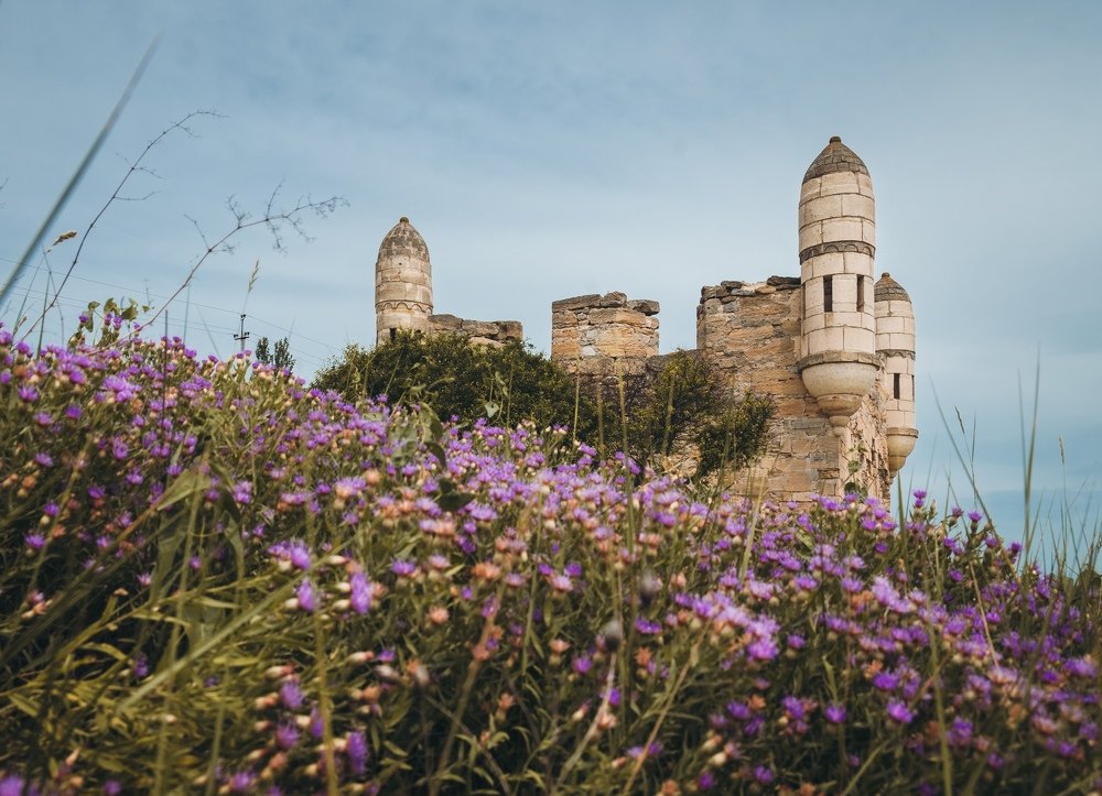 Photograph by Анатолий Щербак