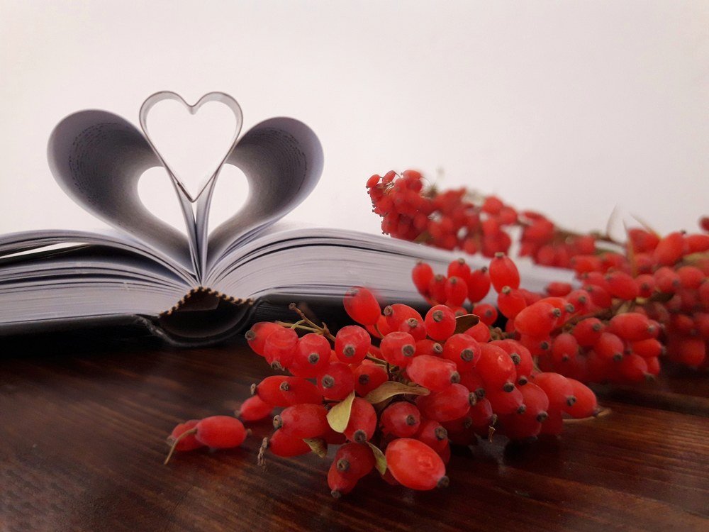 Photograph by Sajedeh Asadimafi