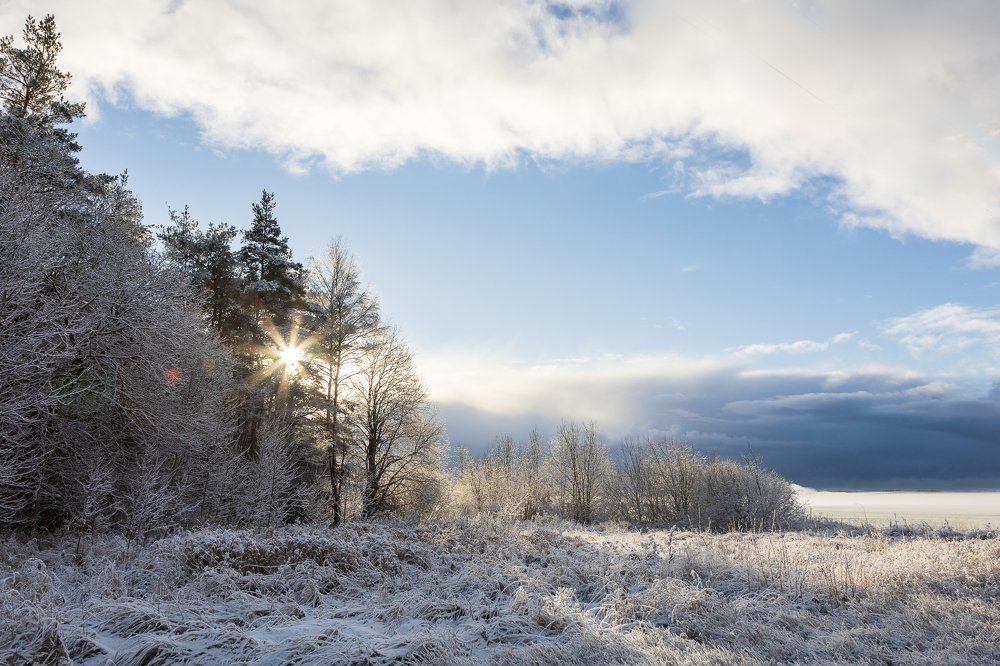 Photograph by Liga Skalde