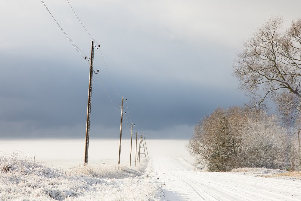 Photograph by Liga Skalde