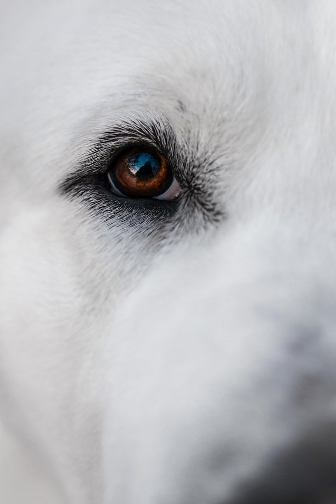 Фотография автора Оксана Серова