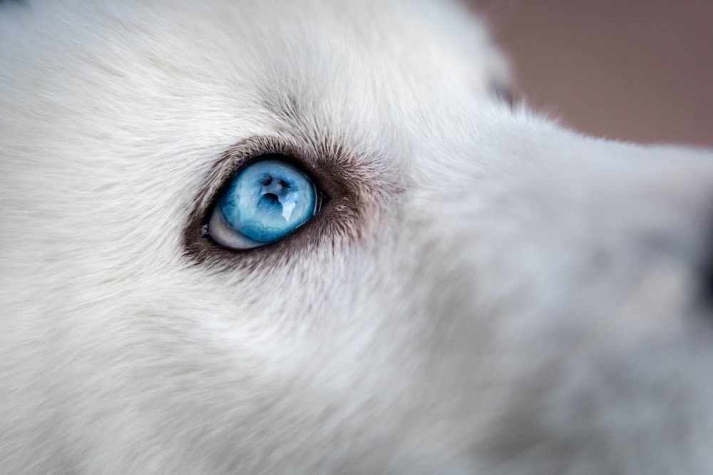 Фотография автора Оксана Серова