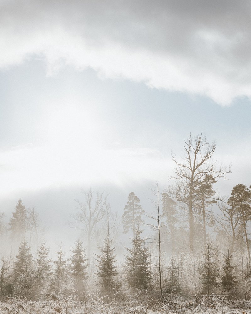 Photograph by Liga Skalde