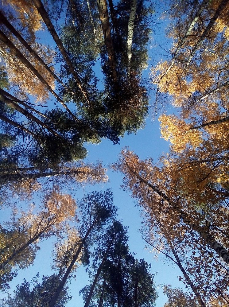 Photo #5437845