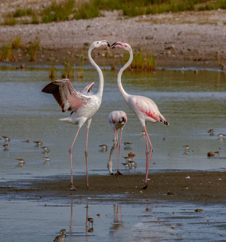 Photograph by gagarin andrey