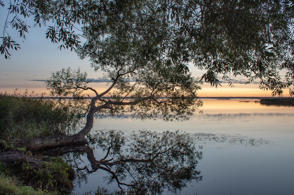 Photograph by Liga Skalde