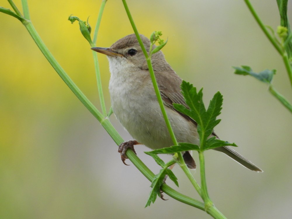 Photograph by Владимир Анатольевич Соколов