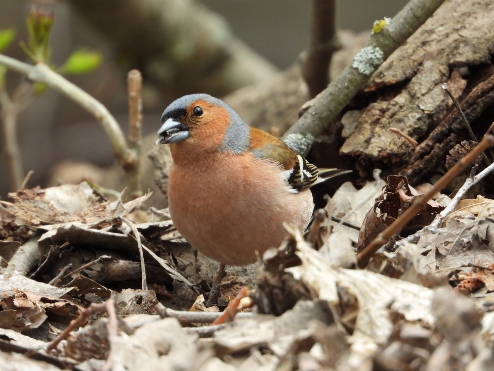 Photograph by Владимир Анатольевич Соколов