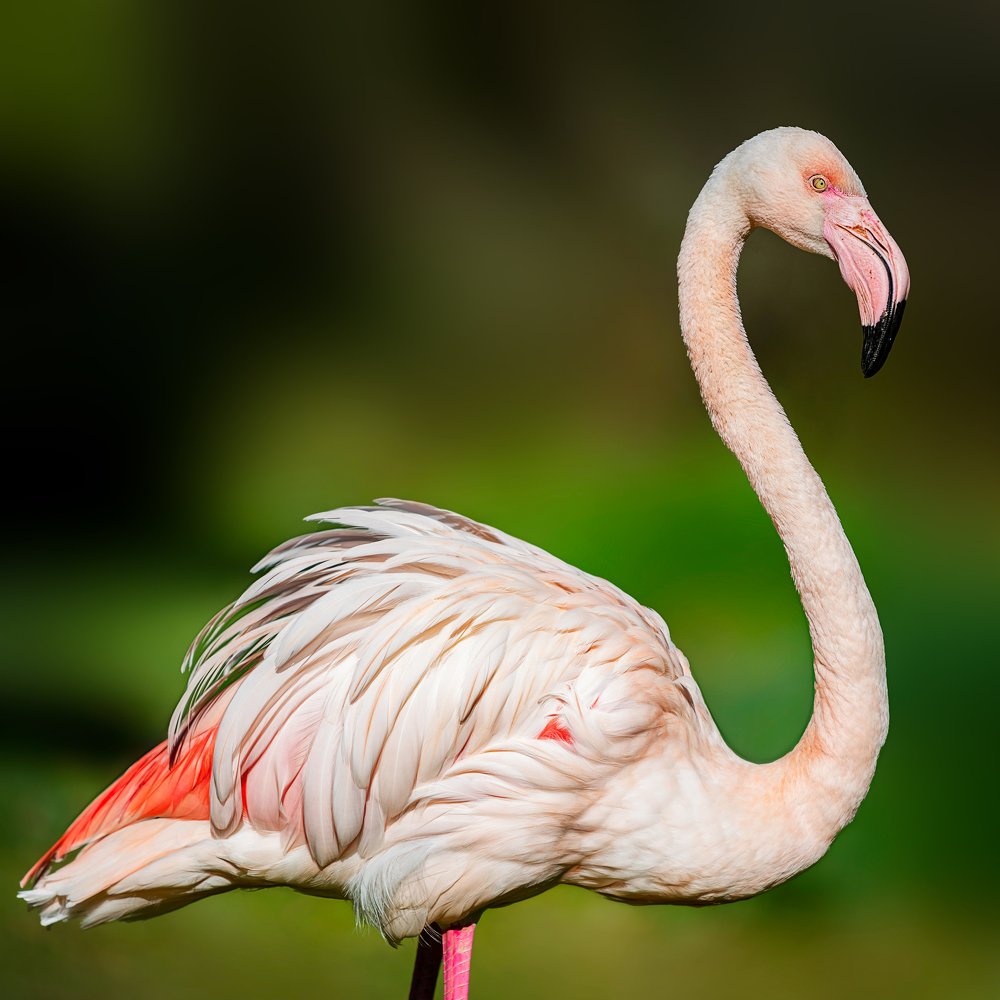 Photograph by Лея Лерер