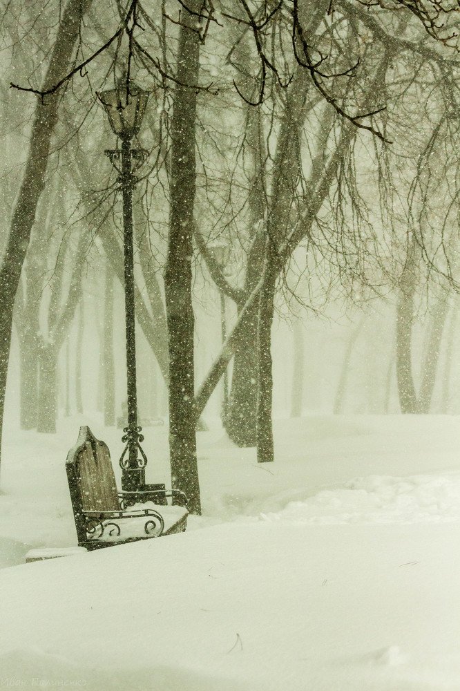 Photograph by Иван Полиненко