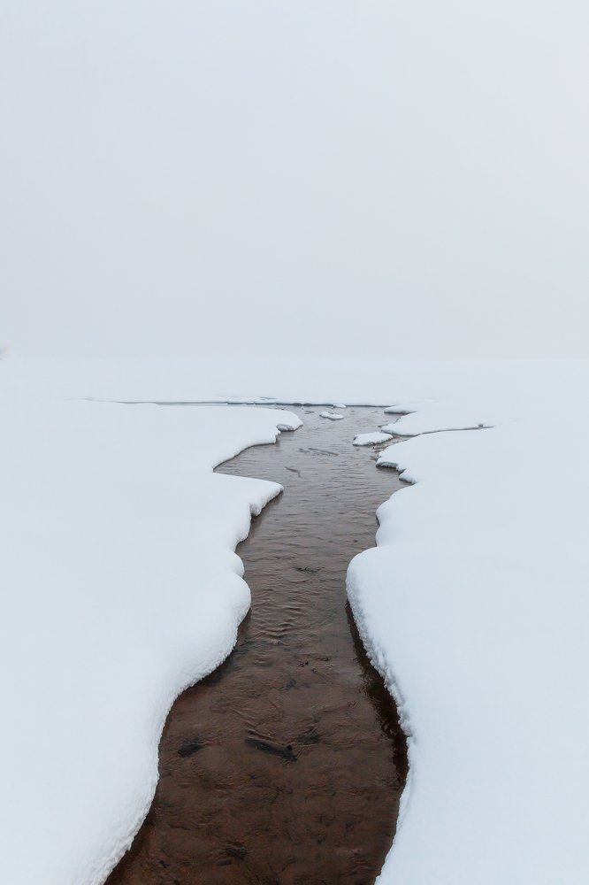 Photograph by Nika Litus