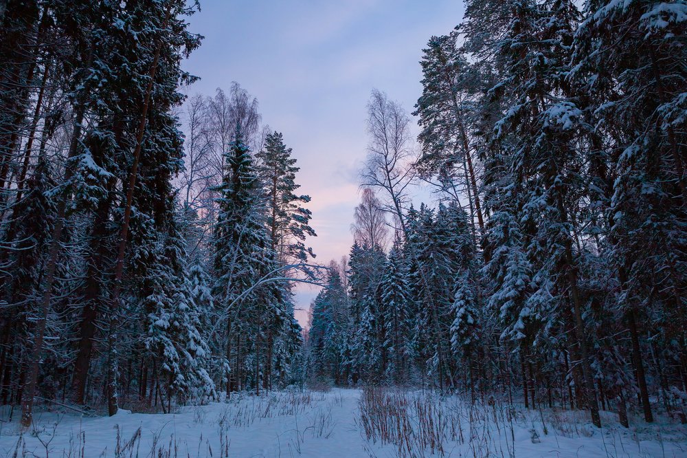 Photograph by Nika Litus