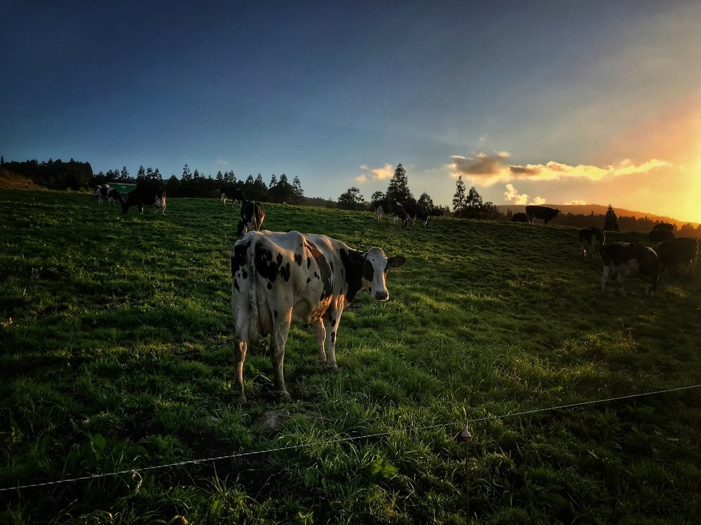 Photograph by Hellen de Carvalho